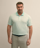 Performance Series Big & Tall Microstripe Polo Shirt / Brooks Brothers Men