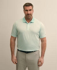Performance Series Big & Tall Microstripe Polo Shirt / Brooks Brothers Men