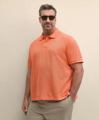 Big & Tall Cotton Pique Polo Shirt / Brooks Brothers Sale