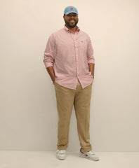 Big & Tall Friday Shirt, Poplin Bengal Stripe / Brooks Brothers Men