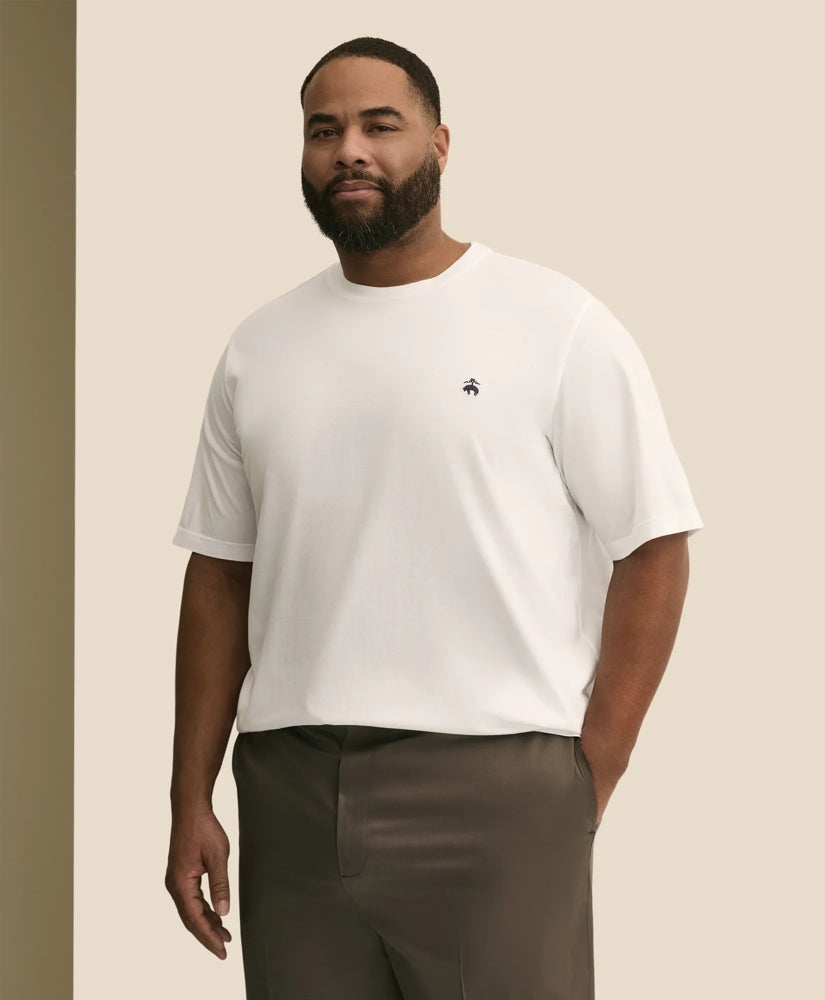 Big & Tall Supima / Brooks Brothers Men